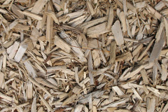 biomass boilers Lache