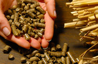 free Lache biomass boiler quotes